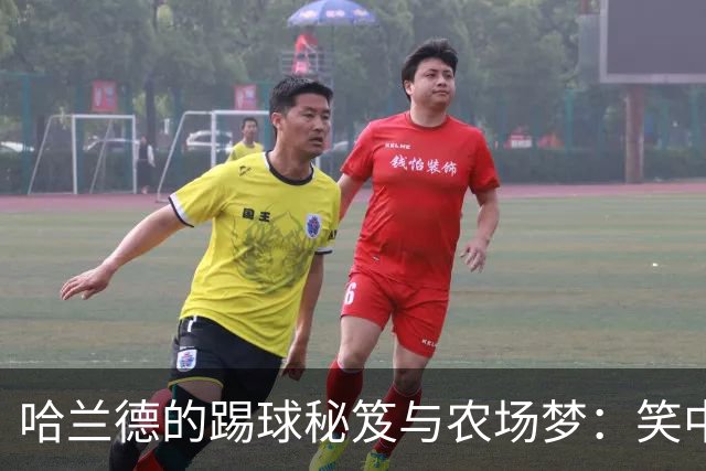 哈兰德的踢球秘笈与农场梦：笑中有泪的人生哲学