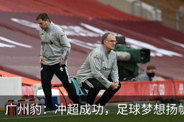 广州豹：冲超成功，足球梦想扬帆起航！